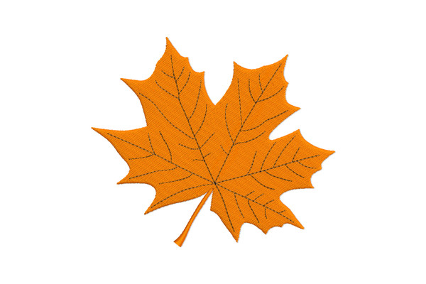 Autumn leaf embroidery design, fall leaves (2).jpg