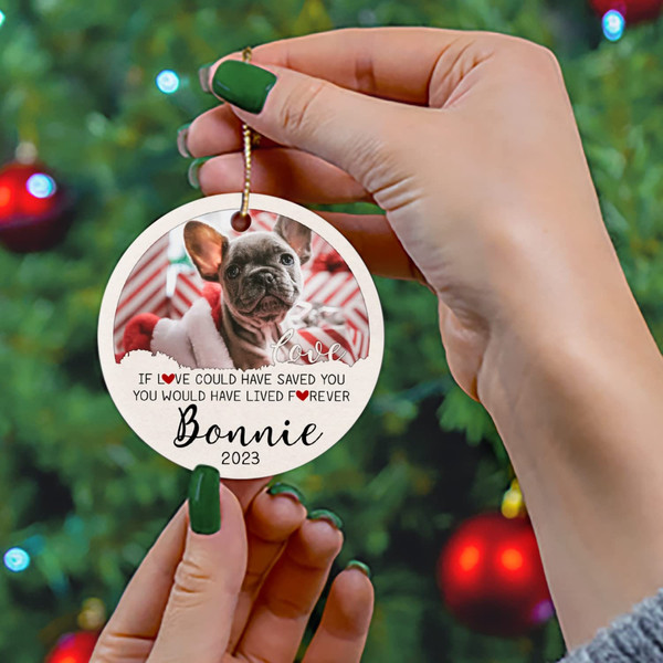 Custom Dog Portrait Ornament 2023, Memorial Pet Keepsake, Personalized Dog Loss Gift Christmas Ornament, Pet Over Rainbow Bridge Gift - 5.jpg