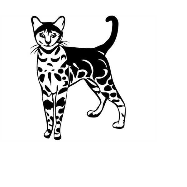 MR-11102023173624-bengal-cat-svg-webp-png-pdf-image-bengal-cat-picture-file-image-1.jpg