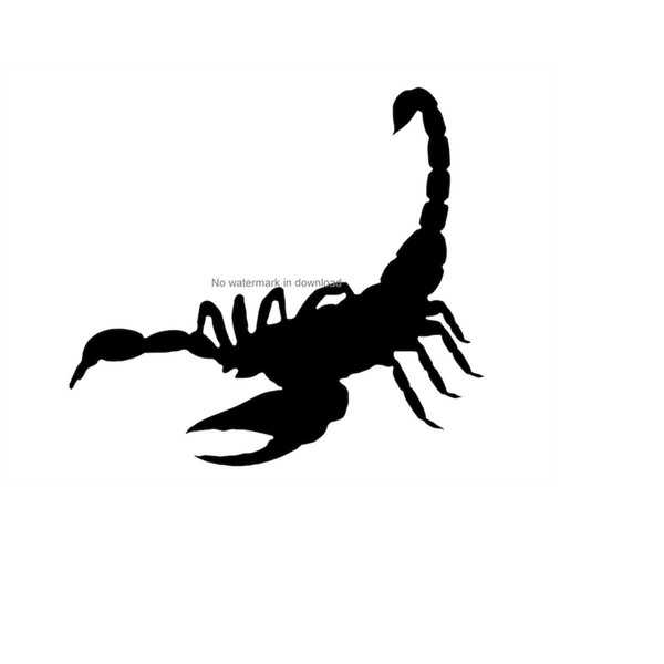 MR-12102023105250-scorpion-svg-cutting-image-scorpio-cutting-file-desert-image-1.jpg