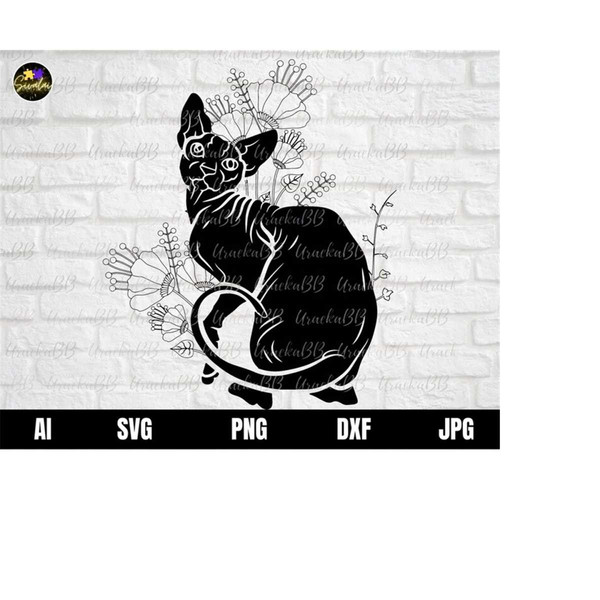 MR-12102023114347-sphynx-cat-svg-sphynx-cat-with-flower-svg-floral-sphynx-cat-image-1.jpg