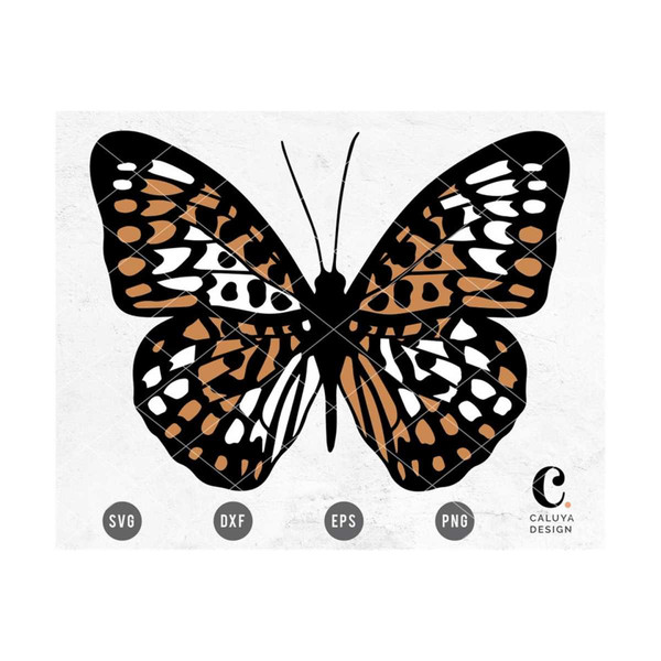 MR-12102023153329-butterfly-svg-botanical-svg-butterfly-clipart-butterfly-image-1.jpg
