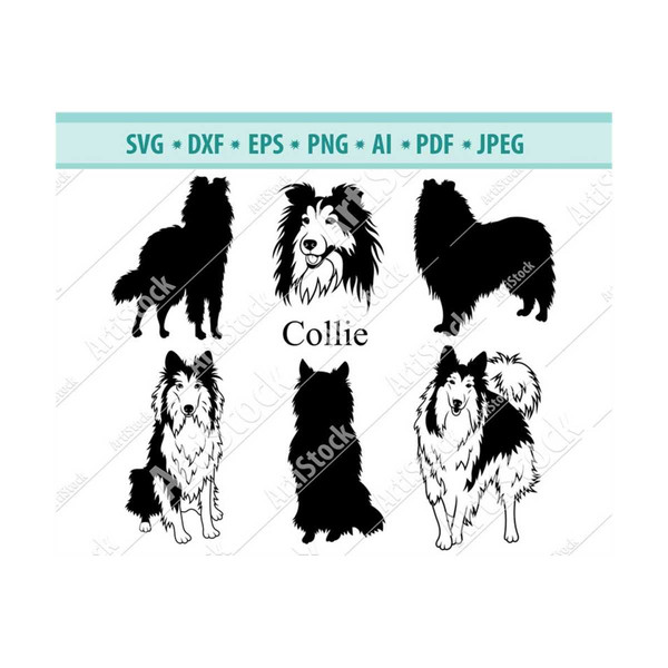 MR-1210202320325-collie-svg-collie-silhouette-svg-dog-svg-digital-cutting-image-1.jpg