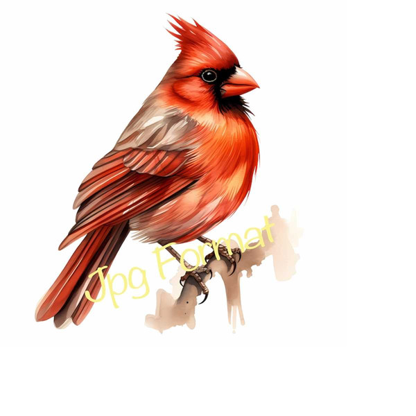 MR-13102023115811-northern-cardinal-svg-watercolor-wall-art-pretty-bird-art-image-1.jpg