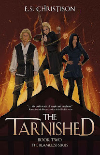 The Tarnished by E.S. Christison - eBook - Children Books.jpg