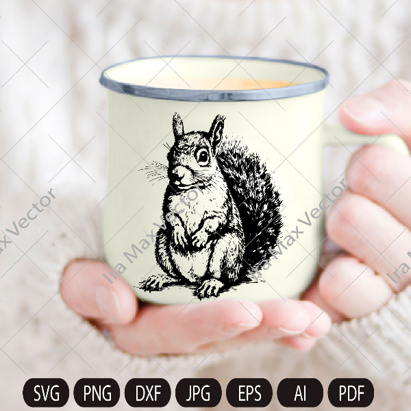 squirrel imv.jpg