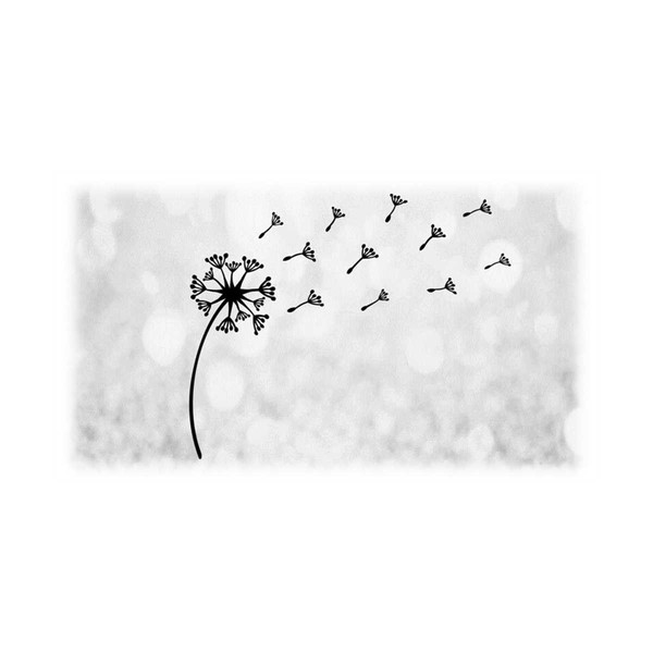 21102023225644-nature-clipart-black-dried-dandelion-flower-with-seeds-image-1.jpg