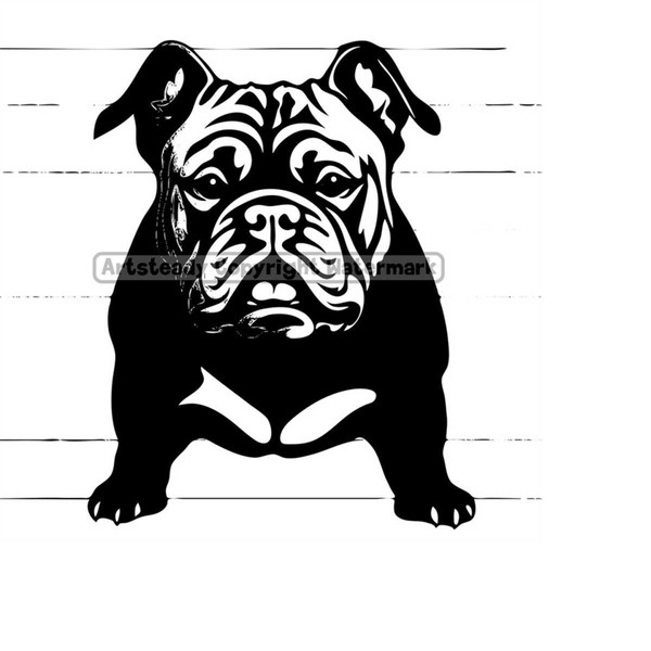 American Bully Png Pet Design Animal Portrait Dog Picture -  in 2023