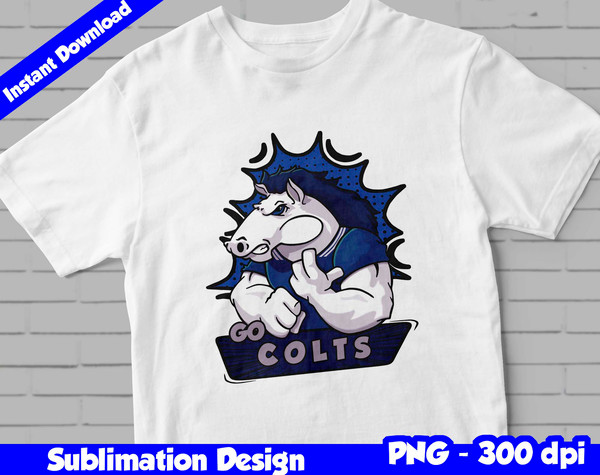 indianapolis colts 02.jpg