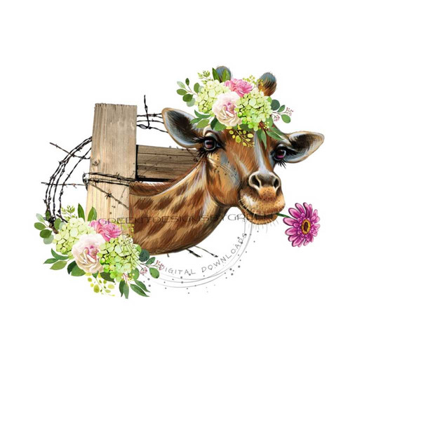 Girafe png images