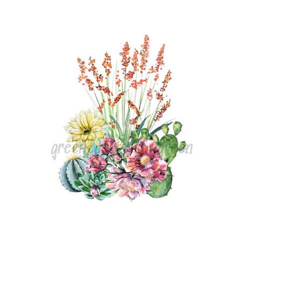 26102023113323-cacti-festive-flowers-clipart-desert-beauty-sublimation-image-1.jpg