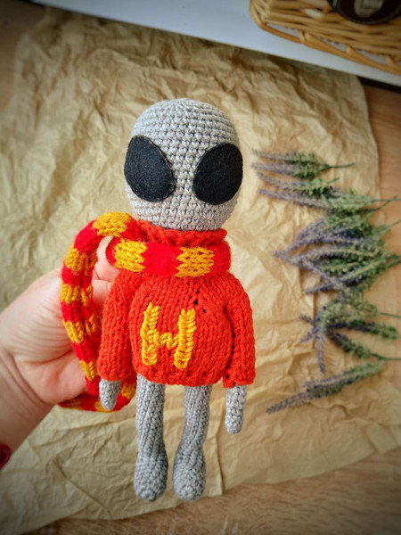 Alien gray doll in Harry Potter dress 2.jpg