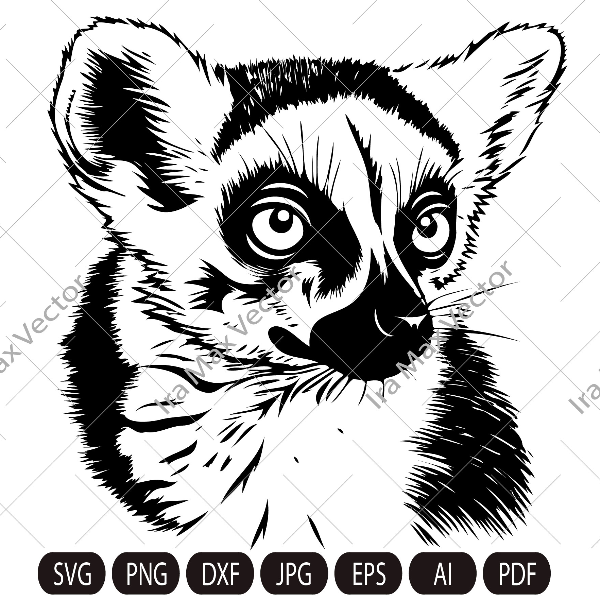 lemur imv.jpg