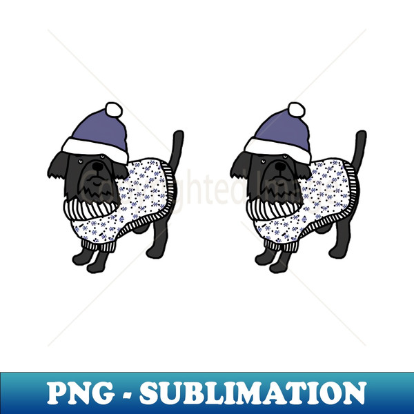 PE-20231101-21740_Two Cute Dogs Blue Hat and Winter Sweater 8944.jpg