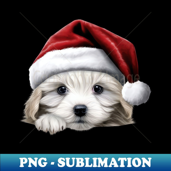 CW-20231102-5145_Christmas Peeking Puppy 7085.jpg