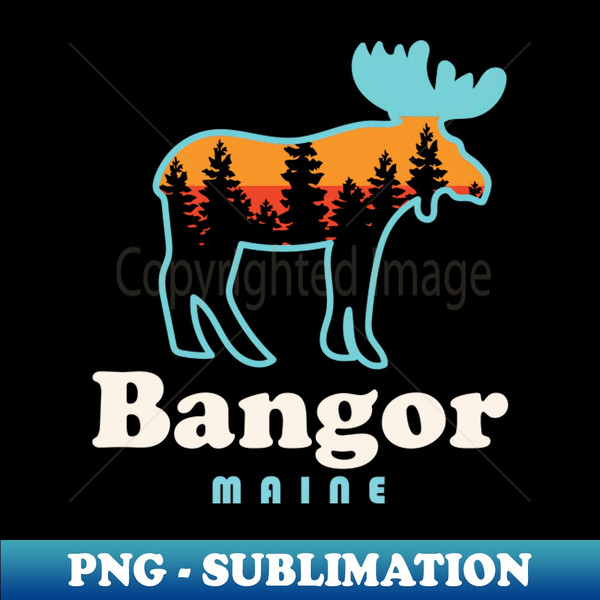 GR-20231103-2279_Bangor Maine Moose Bangor City Forest Outdoors 3030.jpg