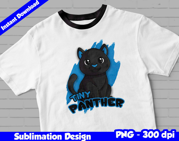 carolina panthers 03.jpg