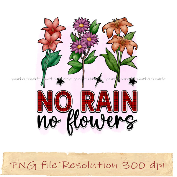 No rain no floweras.jpg