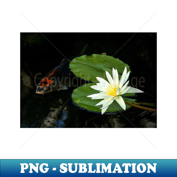 LD-20231112-18968_Meditation Wall Art Print - Water Lily and fish Meditation - canvas Photo print artboard print poster Canvas Print 2003.jpg