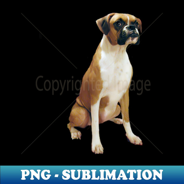 VY-20231112-4275_Boxer with black mask  natural ears - Just the dog 2855.jpg