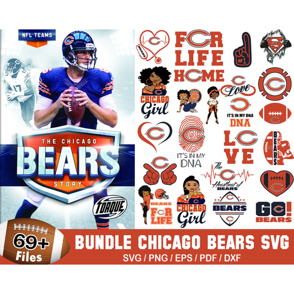 69 Chicago Bears.jpg