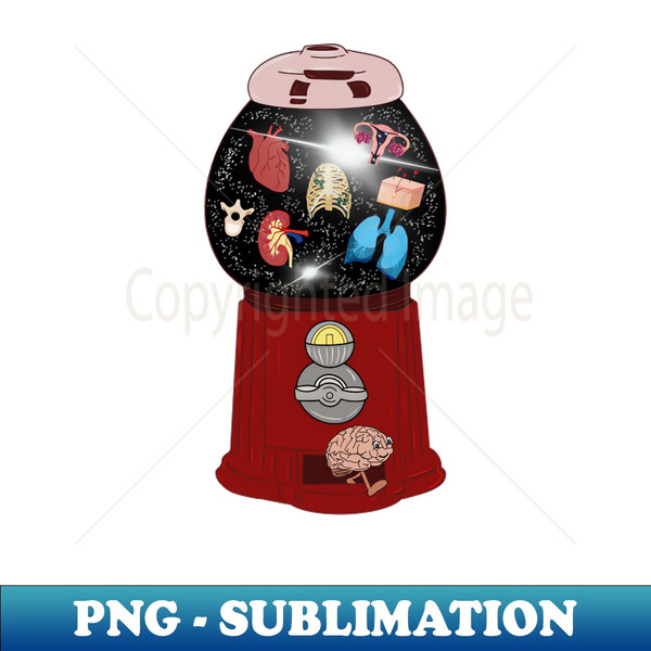 RD-20231113-1907_Anatomy Gumball Machine 1615.jpg