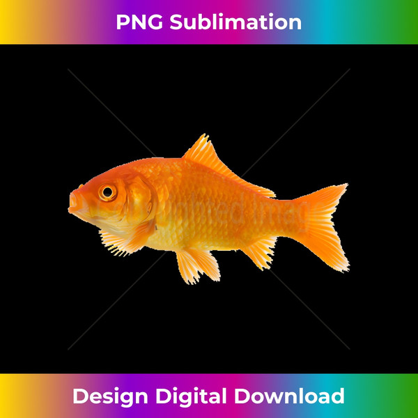QA-20231114-3269_Goldfish Fish Orange Aquarium Fishy 1.jpg