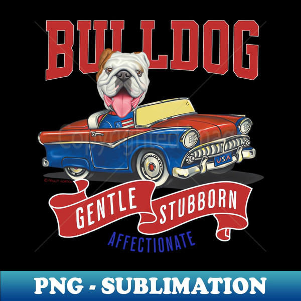 AS-20231114-5473_Cute and funny bulldog in a retro vintage car using red white and blue flags 8968.jpg