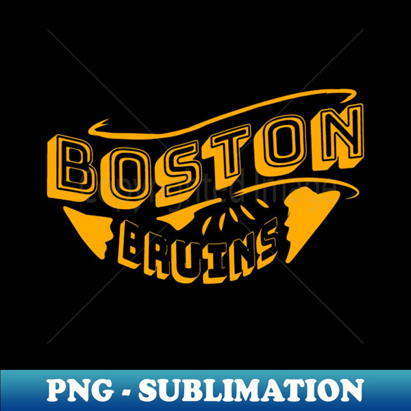 RC-20231114-3242_Boston bruins vintage 1876.jpg