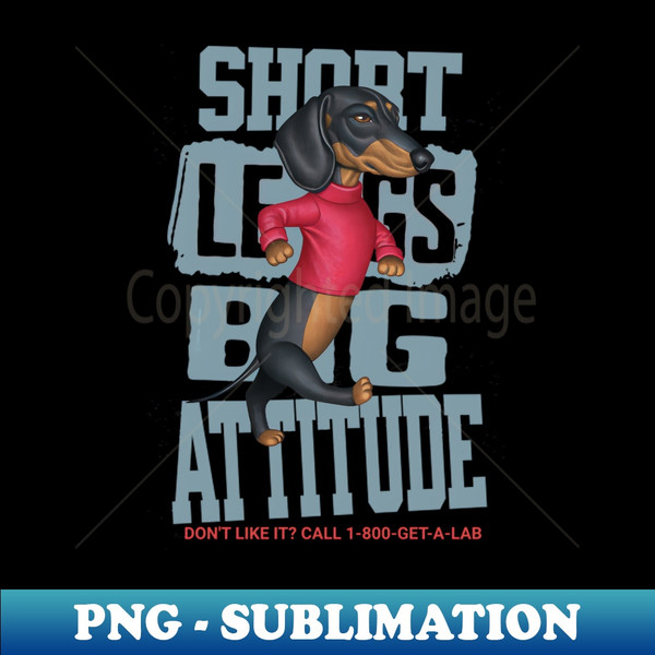 SZ-20231114-18735_Short Legs Big Attitude 1074.jpg