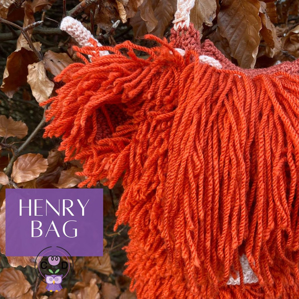 HENRY HIGHLAND COW Bag Crochet Pattern Download (3).jpg