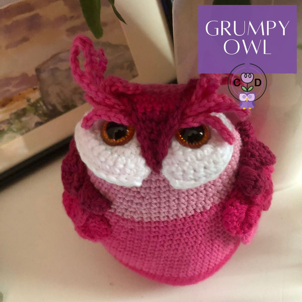 GRUMPY OWL (2).jpg