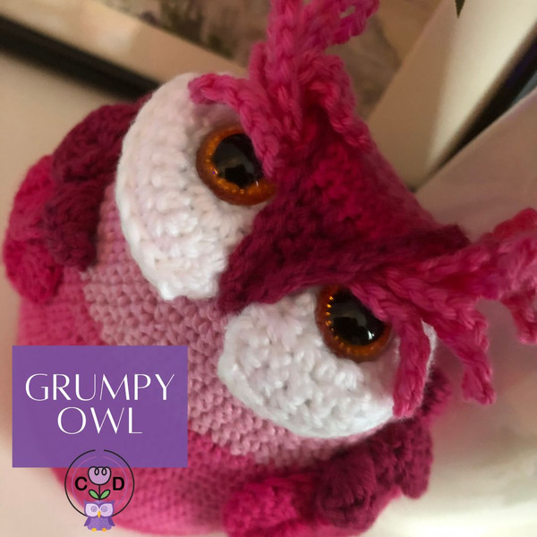 GRUMPY OWL (3).jpg