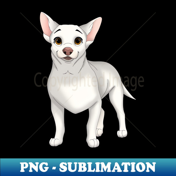 CB-20231115-24563_White Chihuahua Dog 3056.jpg