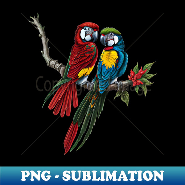 MJ-20231115-2148_Beautiful set of macaw parrot birds 4128.jpg