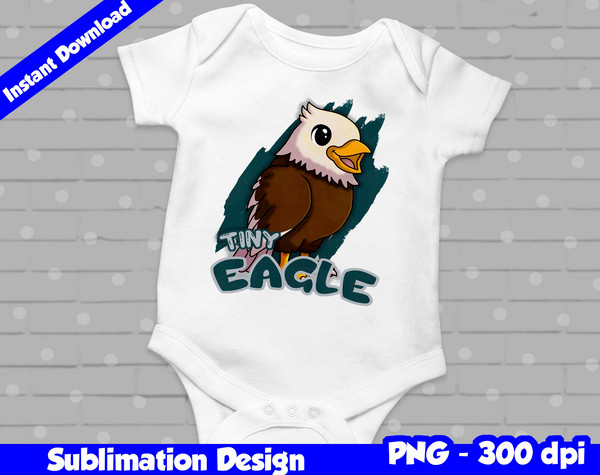 philadelphia eagles 02.jpg