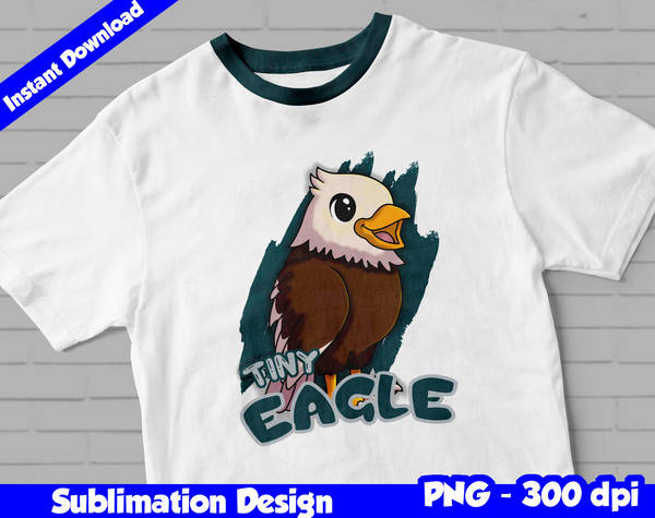 philadelphia eagles 03.jpg
