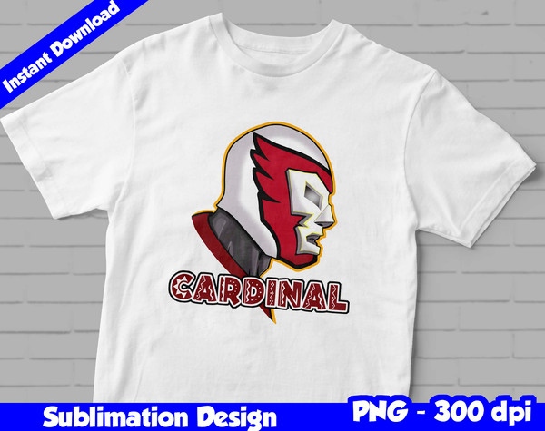 arizona cardinals 02.jpg