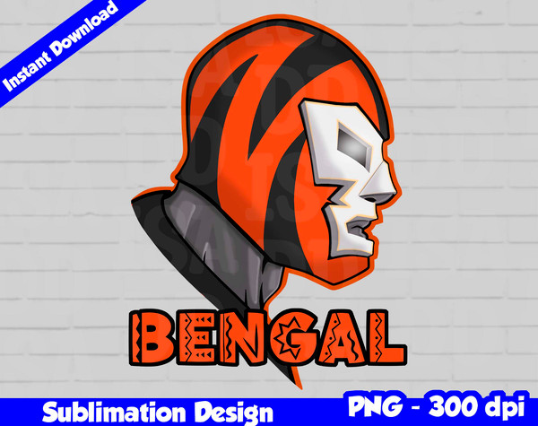 cincinnati bengals 01.jpg