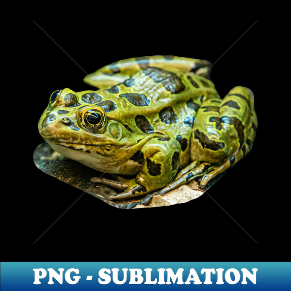 RE-20231117-21378_Leopard Frog 2734.jpg