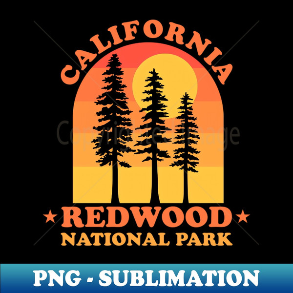 PA-20231118-35508_Redwood National Park - California 6337.jpg