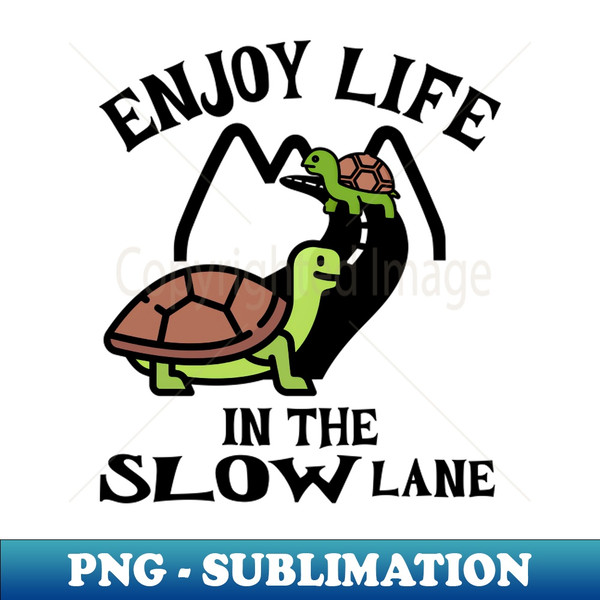 YE-20231118-10502_Enjoy Life in the Slow Lane Happy Turtles 5018.jpg