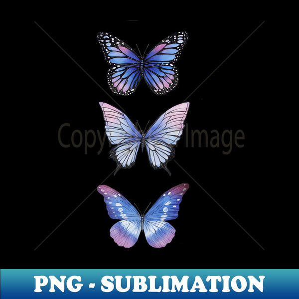 OD-20231119-4199_Beautiful Butterflies F 9234.jpg