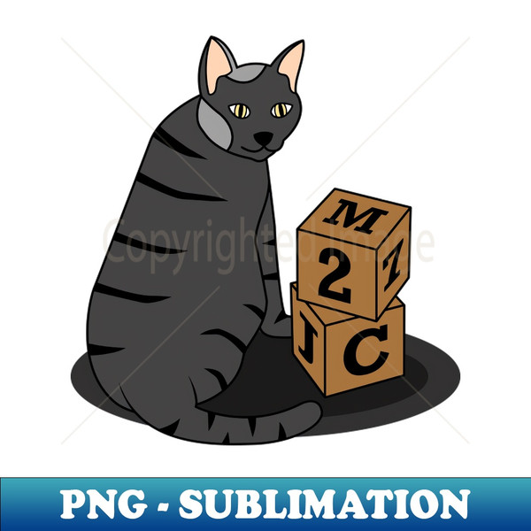 NX-20231119-31289_Funny black cat with cubes 8672.jpg