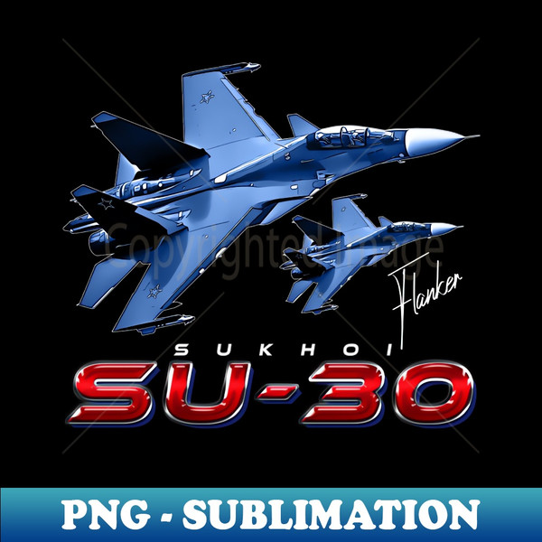 RP-20231120-73576_Sukhoi SU-30 Flanker Russian Fighterjet 6879.jpg