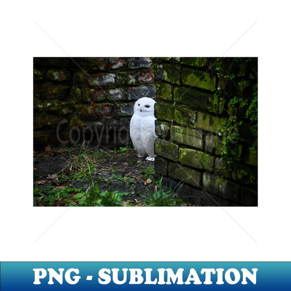 AI-20231120-68715_snow owl 1  Swiss Artwork Photography 7131.jpg