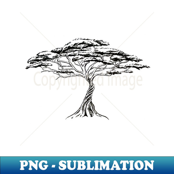 LO-20231120-91936_Whistling Thorn  Zen Bonsai African Tree Black and White Illustration 1548.jpg