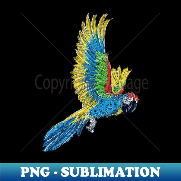 TK-20231122-25149_Macaw Parrot 3596.jpg