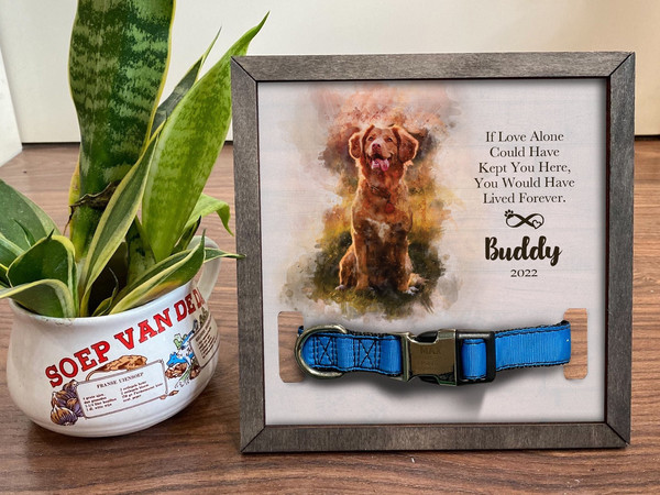 dog collars, pet memorial gift, dog memorial gifts, pet condolence gifts, cat memorial gifts, pet bereavement gifts, dog loss gift, pet loss gift, cat loss gift