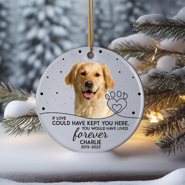 Dog Memorial Ornament, Dog Loss Gift, Cat Loss Gift, Pet Loss Gift